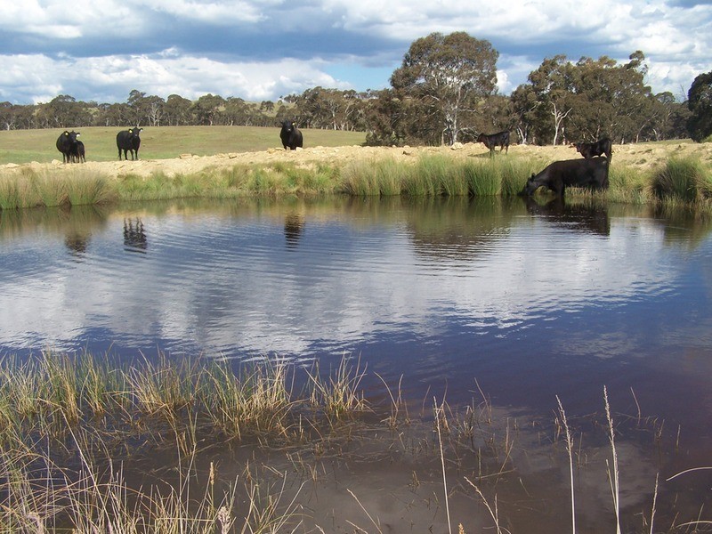 Lot 20 Mount Wayo Drive, Woodhouselee NSW 2580