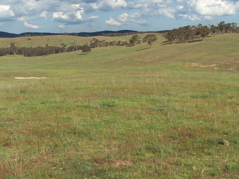 Lot 20 Mount Wayo Drive, Woodhouselee NSW 2580