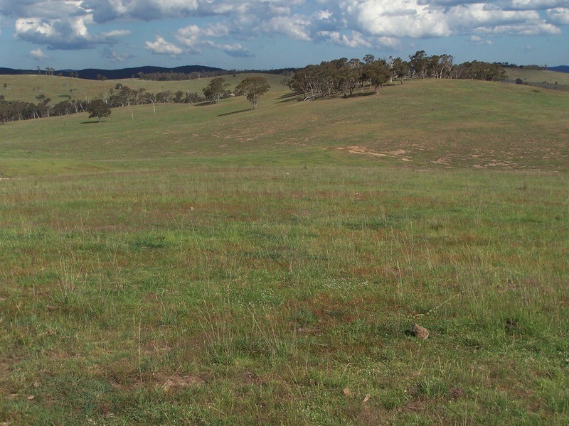 Lot 20 Mount Wayo Drive, Woodhouselee NSW 2580