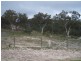 324 Mulwaree Drive, Tallong NSW 2579