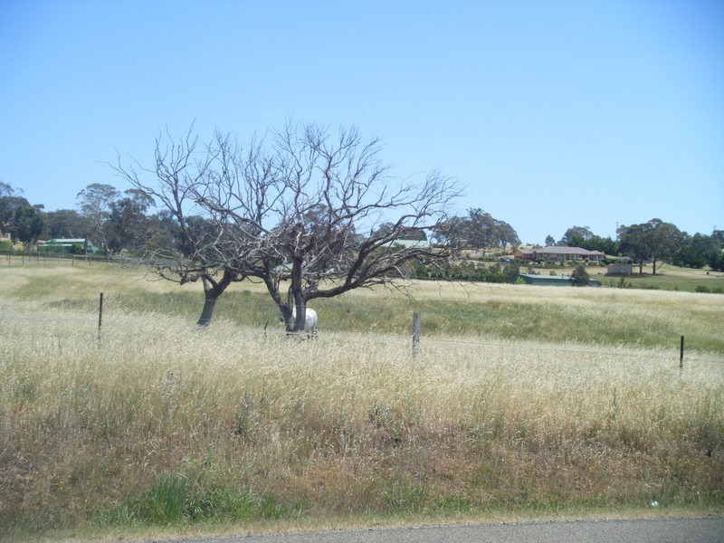 291 Run O Waters Drive, Goulburn NSW 2580