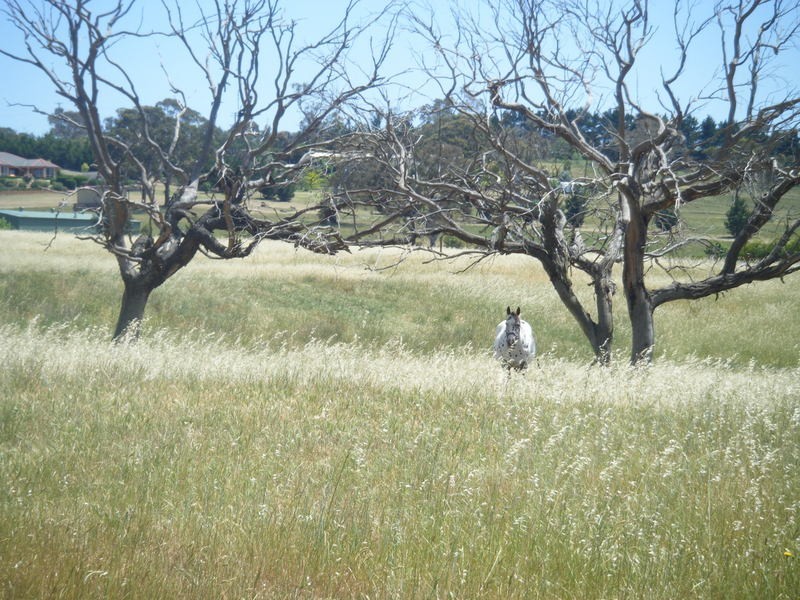 291 Run O Waters Drive, Goulburn NSW 2580