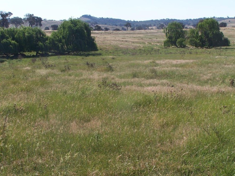 Lot 144 Fish River Road, Narrawa NSW 2583