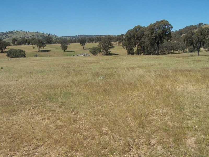 Lot 144 Fish River Road, Narrawa NSW 2583