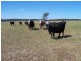 “Gundiwillah” Kooringaroo Road, Goulburn NSW 2580