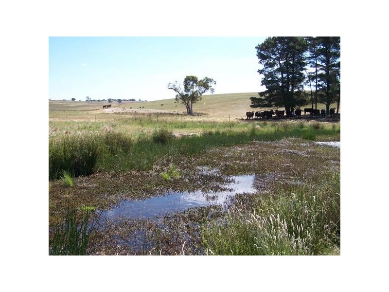 “Gundiwillah” Kooringaroo Road, Goulburn NSW 2580