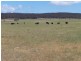 “Gundiwillah” Kooringaroo Road, Goulburn NSW 2580