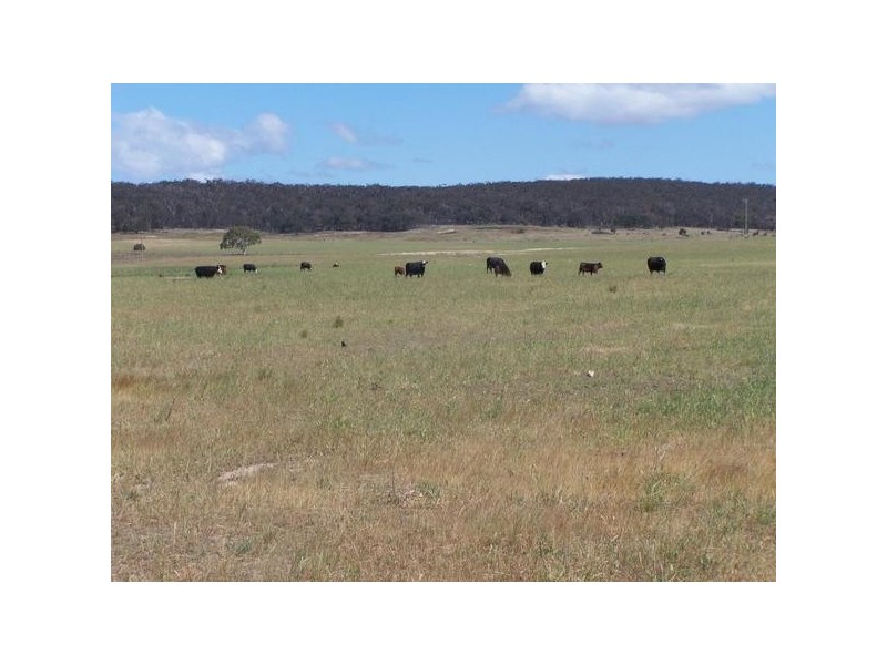 “Gundiwillah” Kooringaroo Road, Goulburn NSW 2580