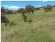 168 Decca Road, Bigga NSW 2583