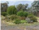980 Bannaby Road, Taralga NSW 2580