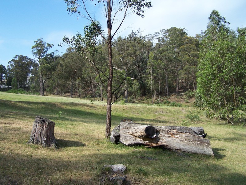 980 Bannaby Road, Taralga NSW 2580