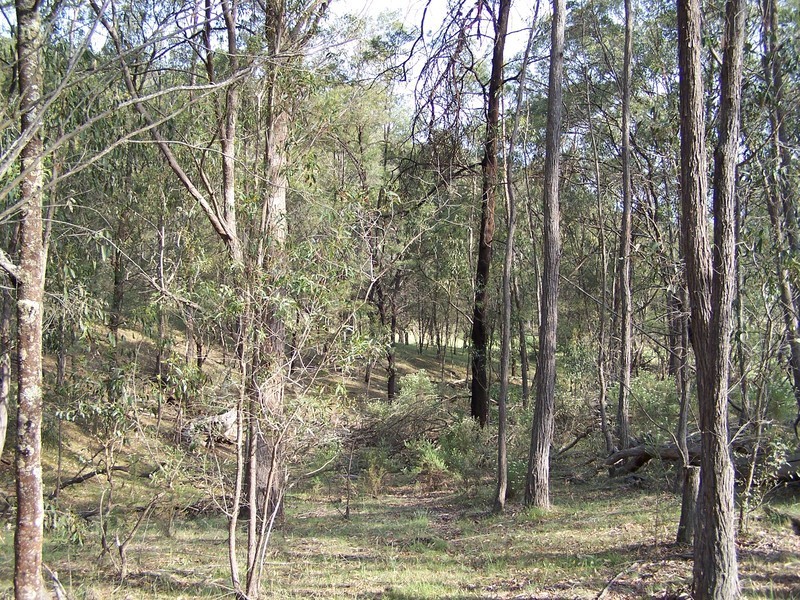 980 Bannaby Road, Taralga NSW 2580