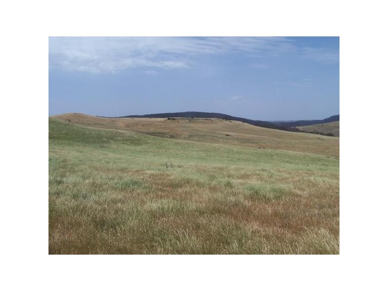 “Spring View” Off Hillview Road, Taralga NSW 2580