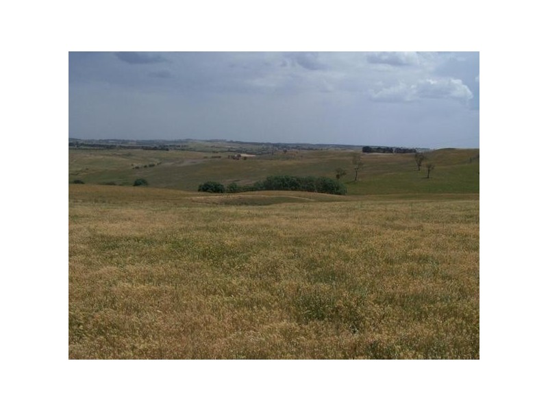 “Spring View” Off Hillview Road, Taralga NSW 2580