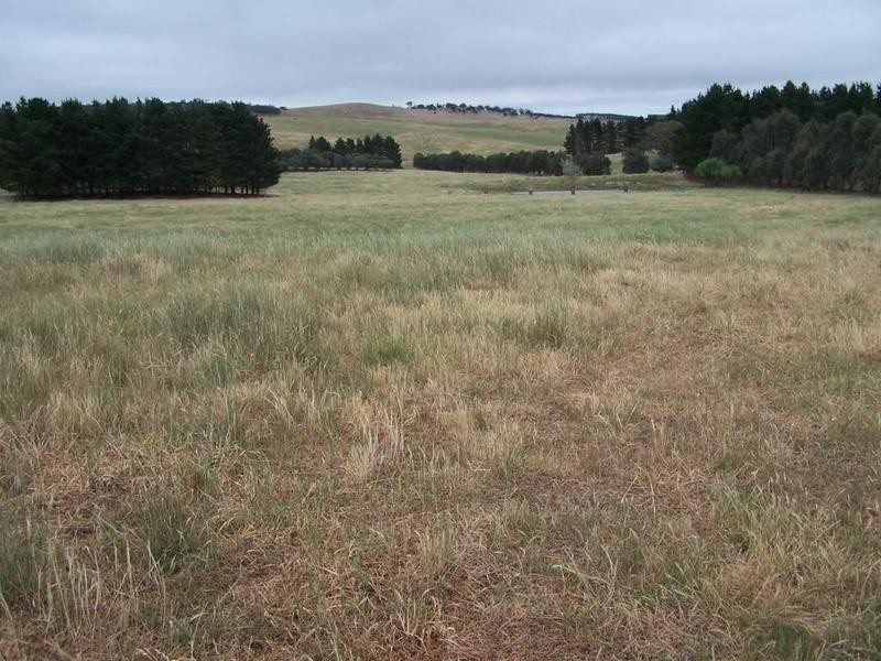 “Burra Creek” Tyrl Tyrl Road, Golspie NSW 2580