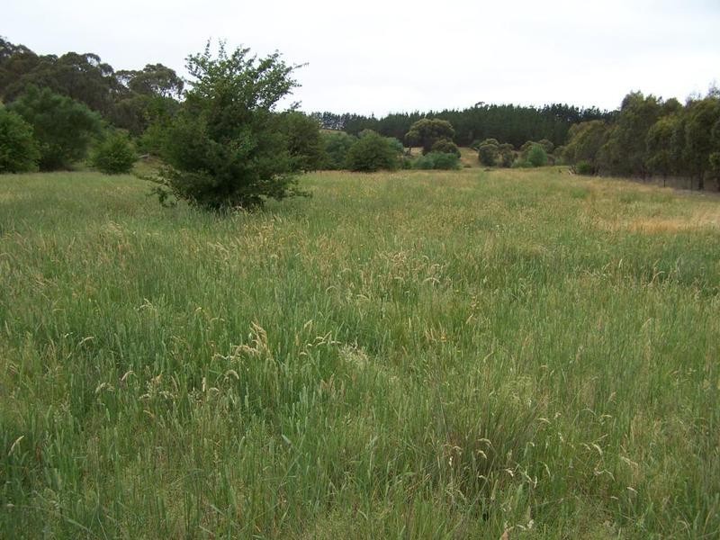 “Burra Creek” Tyrl Tyrl Road, Golspie NSW 2580