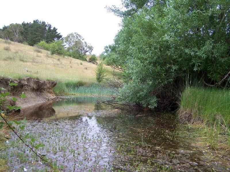 “Burra Creek” Tyrl Tyrl Road, Golspie NSW 2580