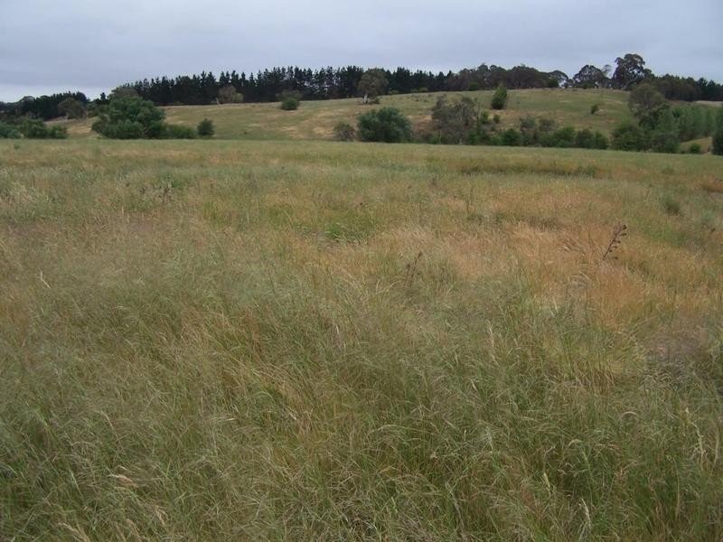 “Burra Creek” Tyrl Tyrl Road, Golspie NSW 2580