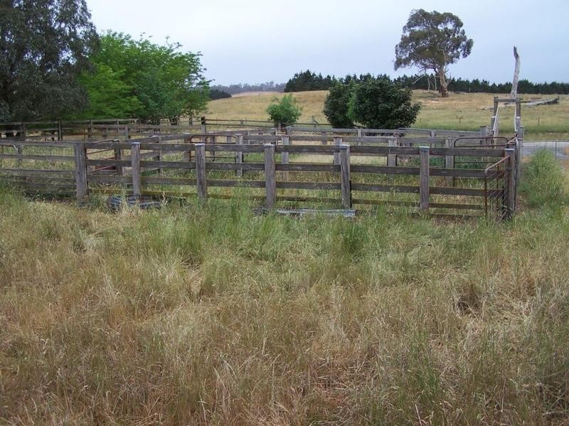 “Burra Creek” Tyrl Tyrl Road, Golspie NSW 2580