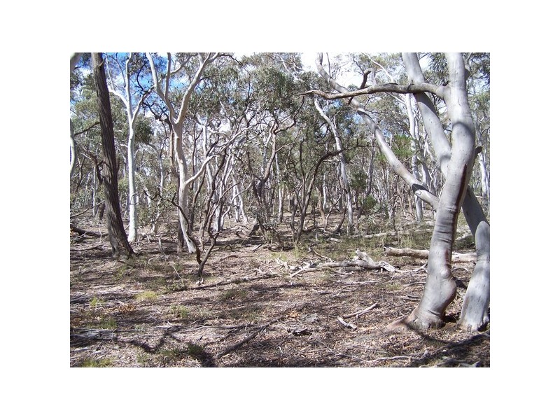 381 Winfarthing Road, Marulan NSW 2579