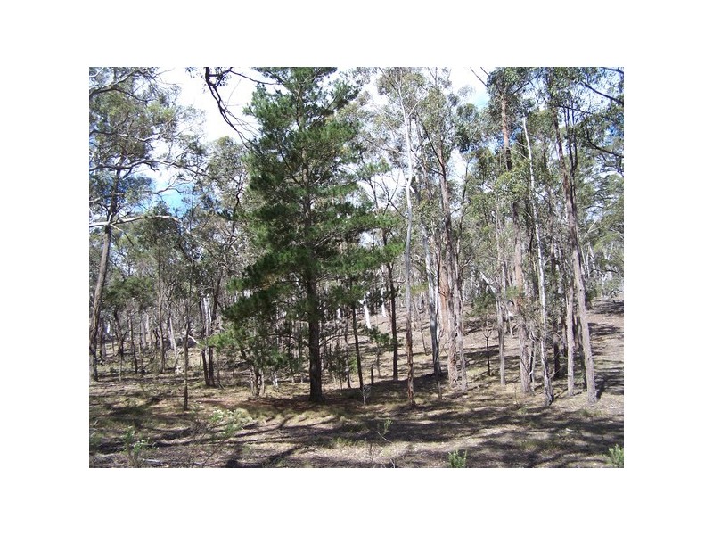 381 Winfarthing Road, Marulan NSW 2579