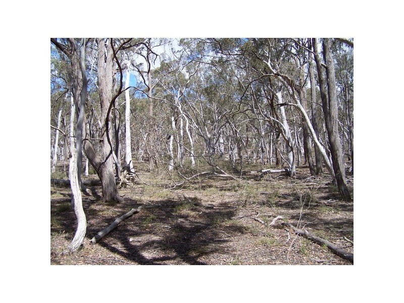 381 Winfarthing Road, Marulan NSW 2579