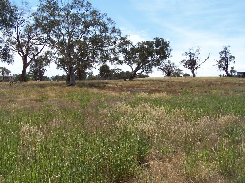 13 Queen Street, Binda NSW 2583