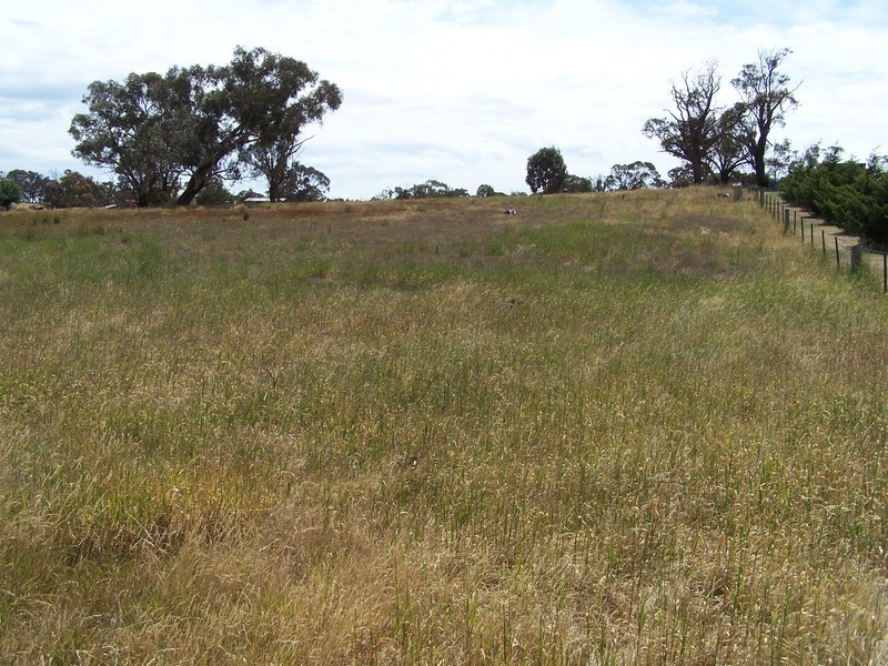 13 Queen Street, Binda NSW 2583