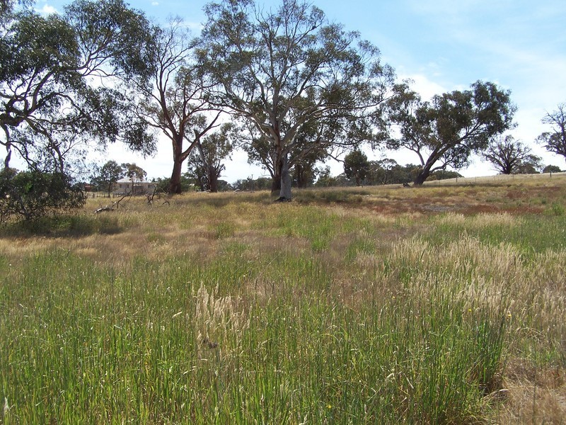 13 Queen Street, Binda NSW 2583