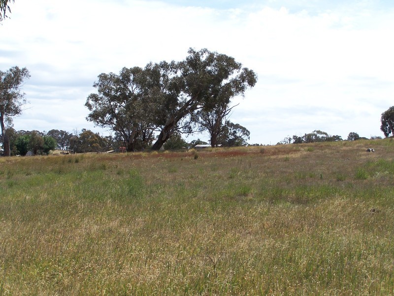 13 Queen Street, Binda NSW 2583