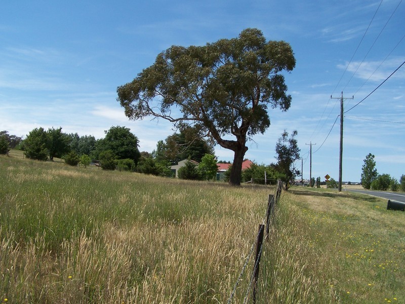 13 Queen Street, Binda NSW 2583