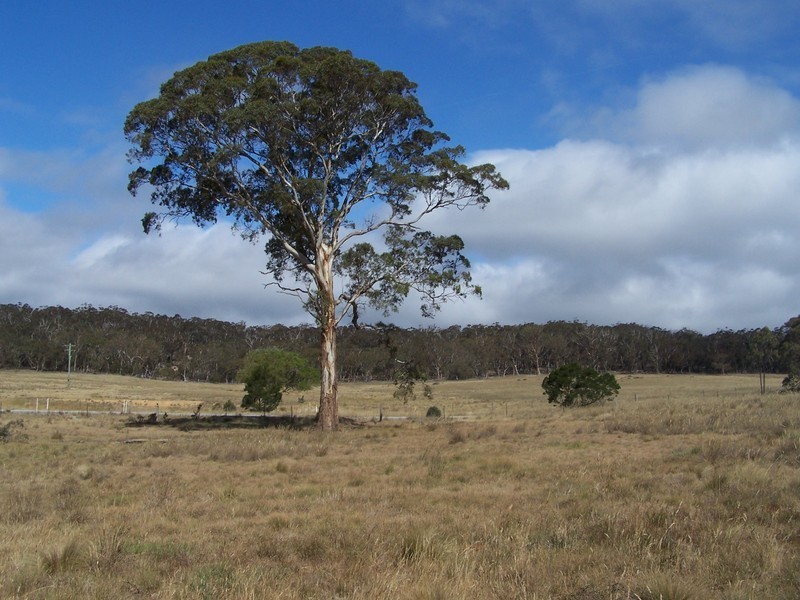 540 Kooringaroo Road, Goulburn NSW 2580