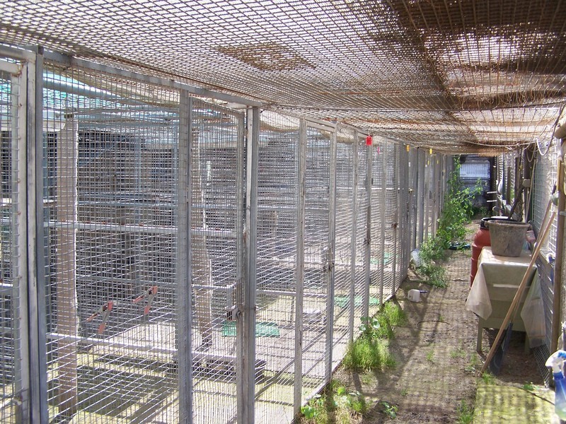 540 Kooringaroo Road, Goulburn NSW 2580