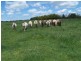 12 Redground Road, Crookwell NSW 2583