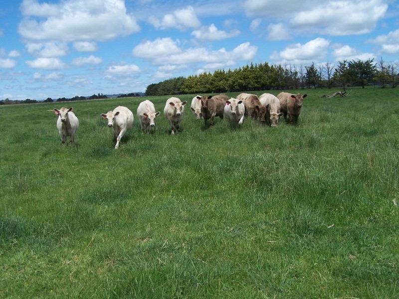 12 Redground Road, Crookwell NSW 2583