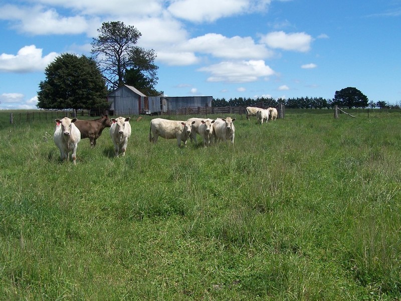 12 Redground Road, Crookwell NSW 2583