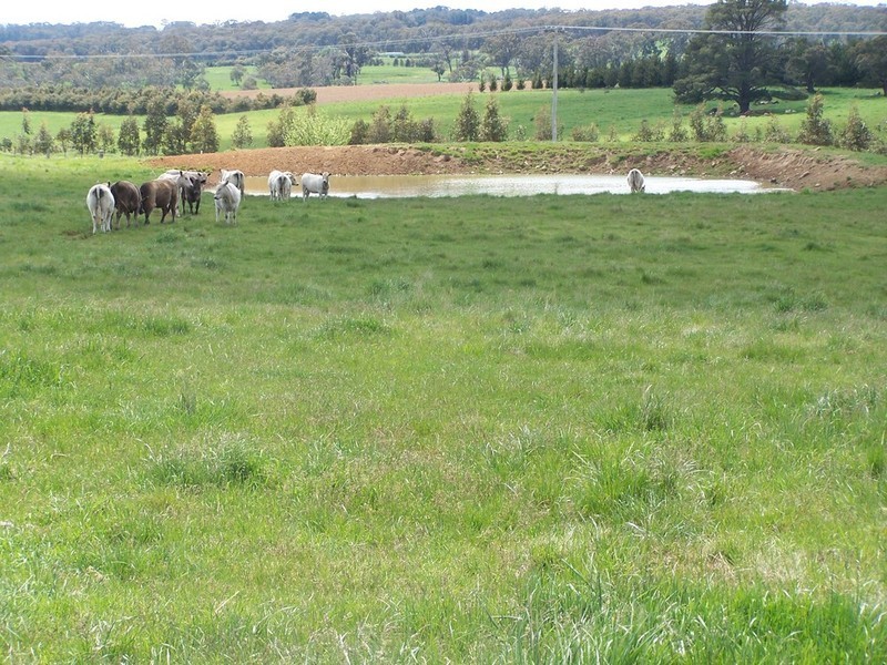 12 Redground Road, Crookwell NSW 2583