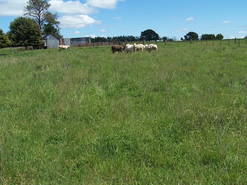 12 Redground Road, Crookwell NSW 2583