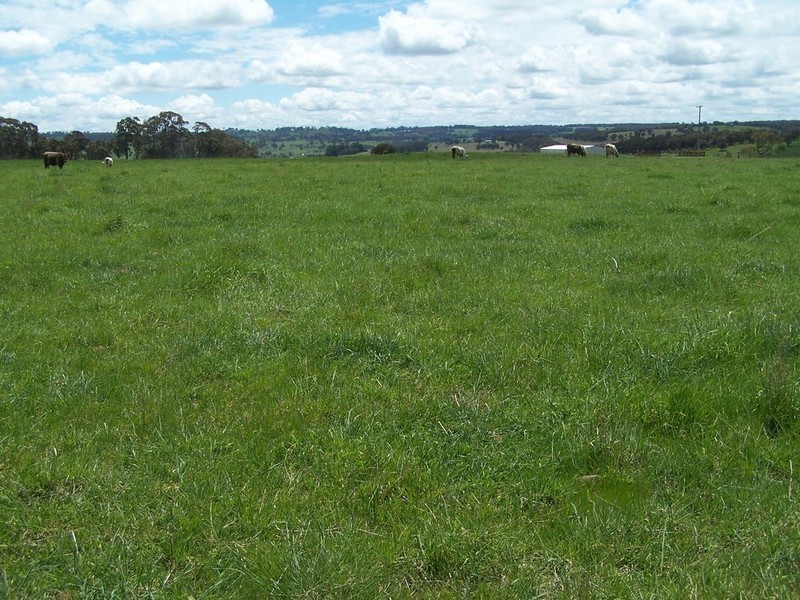 12 Redground Road, Crookwell NSW 2583