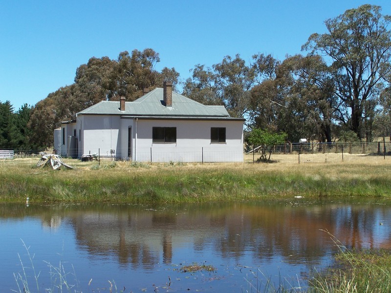 1784 Golspie Road, Golspie NSW 2580