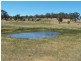 1784 Golspie Road, Golspie NSW 2580