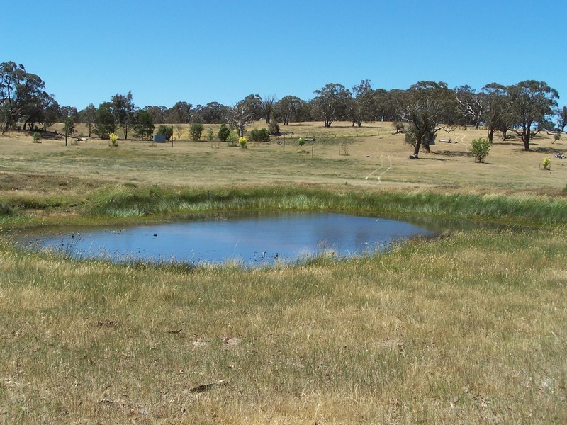 1784 Golspie Road, Golspie NSW 2580
