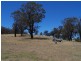 1784 Golspie Road, Golspie NSW 2580