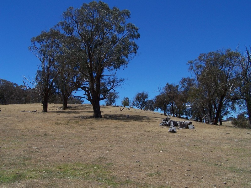 1784 Golspie Road, Golspie NSW 2580