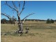 1784 Golspie Road, Golspie NSW 2580