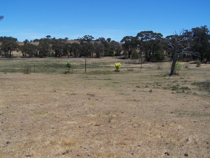 1784 Golspie Road, Golspie NSW 2580