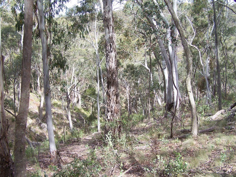 Lot 3 Off Mount Rae Road, Taralga NSW 2580