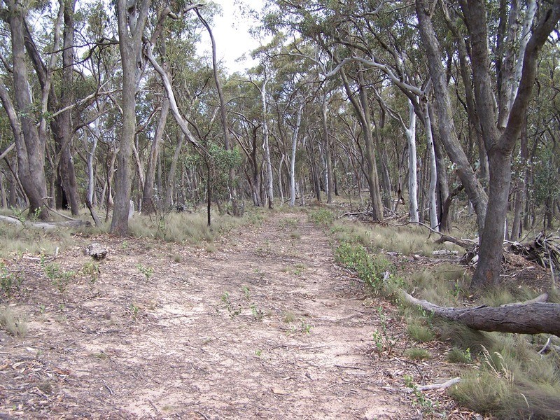 Lot 3 Off Mount Rae Road, Taralga NSW 2580