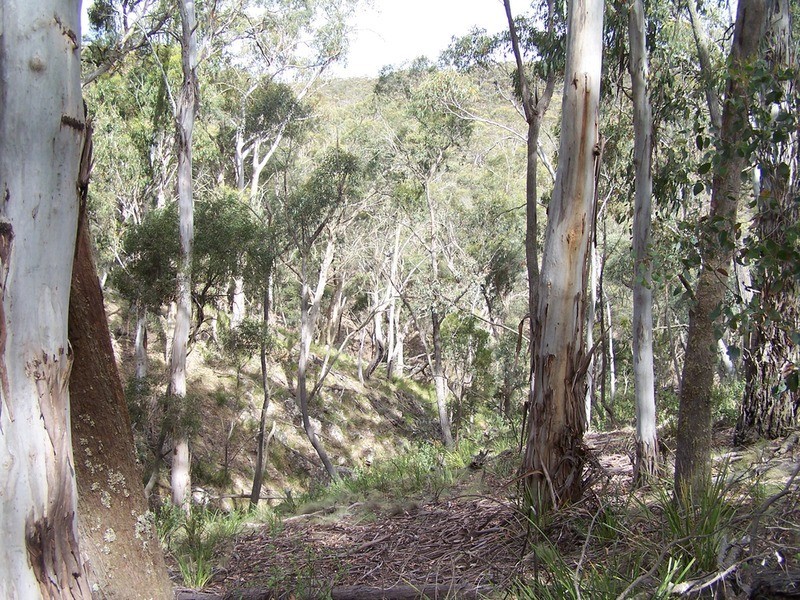 Lot 3 Off Mount Rae Road, Taralga NSW 2580