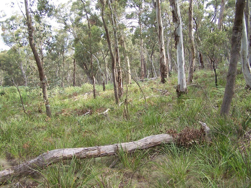 Lot 3 Off Mount Rae Road, Taralga NSW 2580